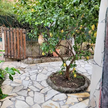 Apartment Cosy: Garden Retreat In Sur *