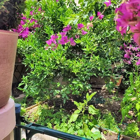 Cosy: Garden Retreat In Sur * La Seyne-sur-Mer