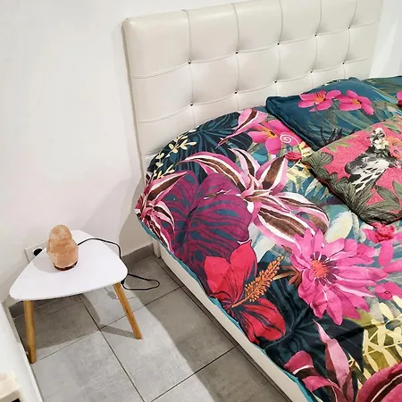 Cosy 55m² Avec Jardin *