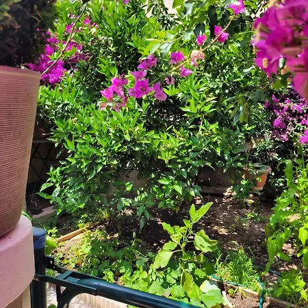 Cosy 55m² Avec Jardin