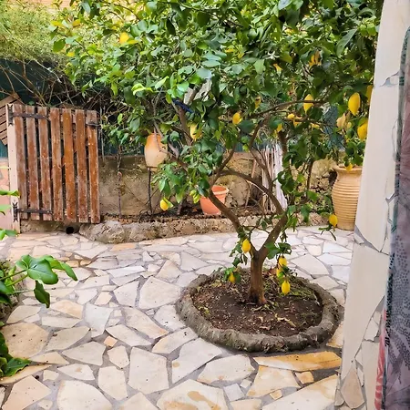 Cosy 55m² Avec Jardin Apartment La Seyne-sur-Mer