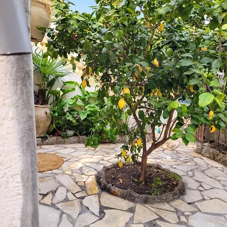 Cosy 55m² Avec Jardin La Seyne-sur-Mer
